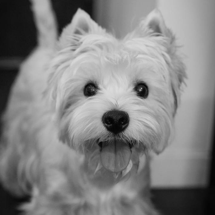 82d9293b c497 47c8 a321 754a17e62313 1530787415935