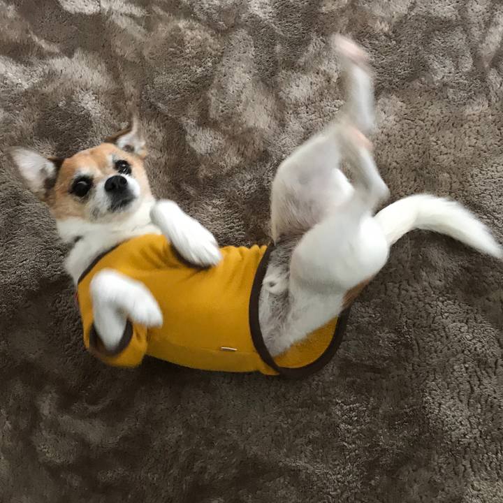 82d9443c 2b8b 4da6 a554 9a0a294a3e0d 1584927923956