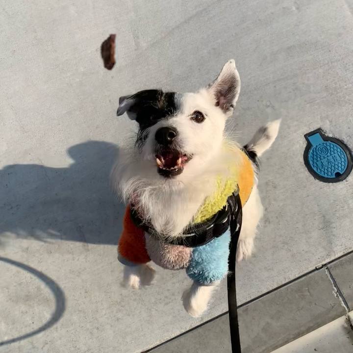 82d95b51 0052 418a b499 2574cc406c7e 1737418286746