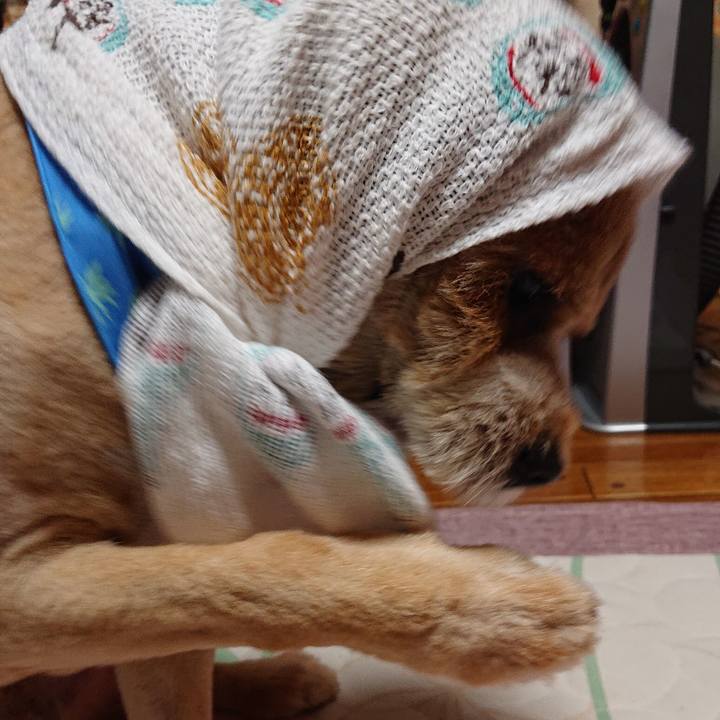 82d962ad 2680 43ac acb4 44224c2309d0 1565099407072