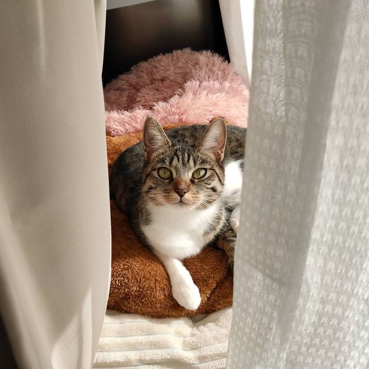 82d96564 43eb 4821 ad44 9df15c7aca56 1673486473243