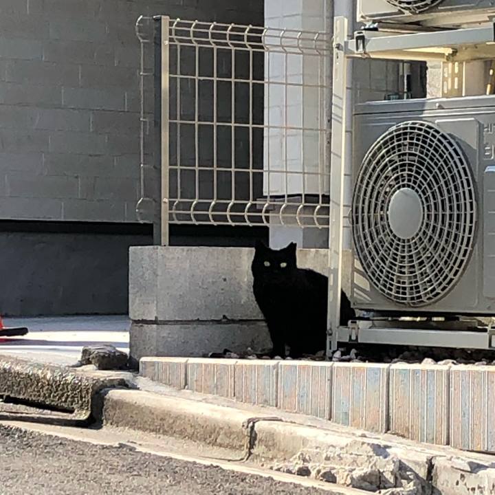 82d96ae5 3de8 46b4 b478 d3fab57b631b 1614435927934