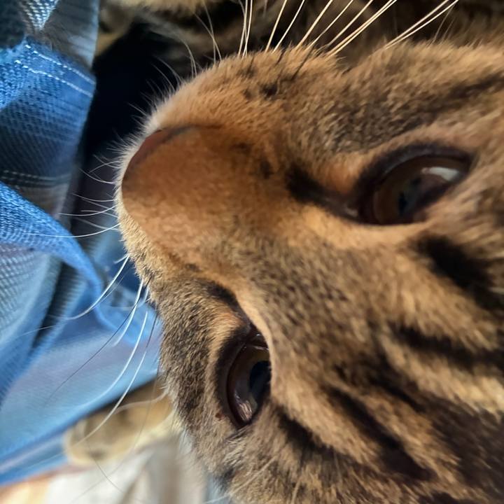 82d97f4a f926 48fd bebf 632cc58e7ac5 1748367474687