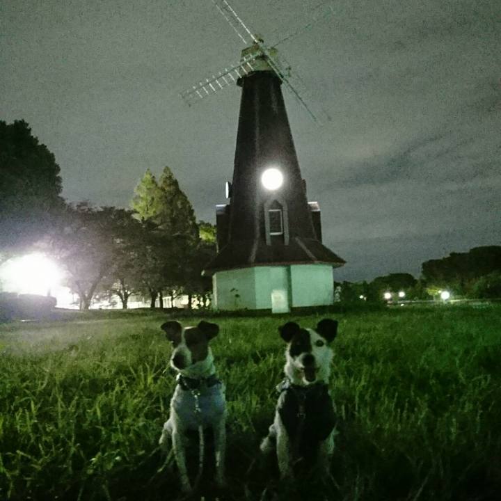 82d98074 86f5 4098 b71d 9e2a1c0e40d5 1568290226574