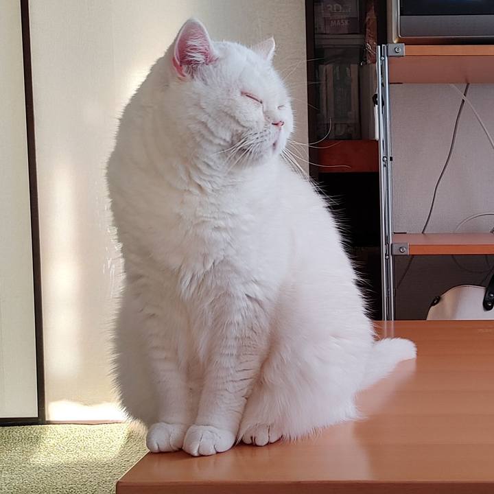 82d98e15 576d 4700 ba2d 6013459fda09 1704617476150