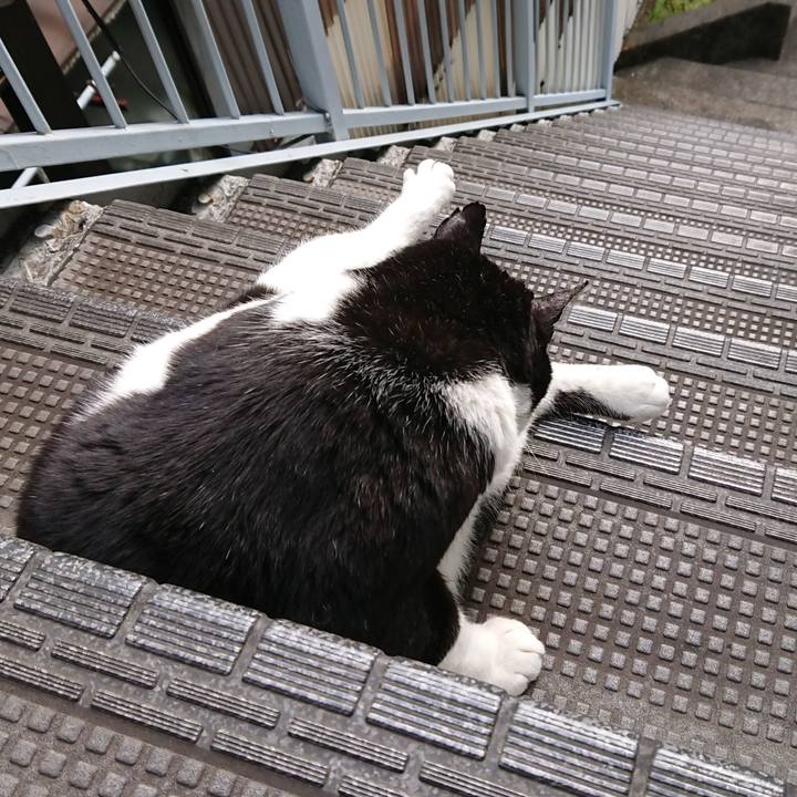 82d9d1f4 f185 4e07 91de c344ad9d7f5b 1586993289727