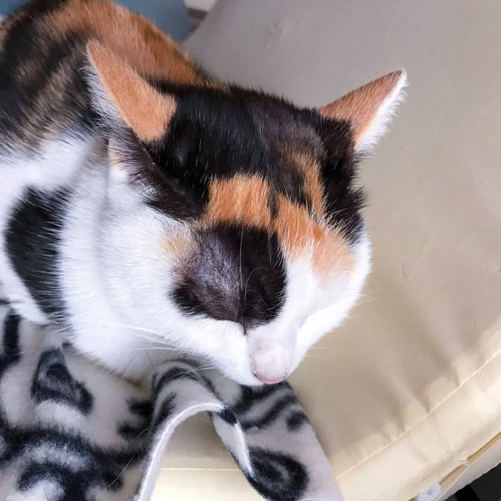 82d9e5fd 5dcd 45c8 bc8f 7ac257ef15a3 1509508401948