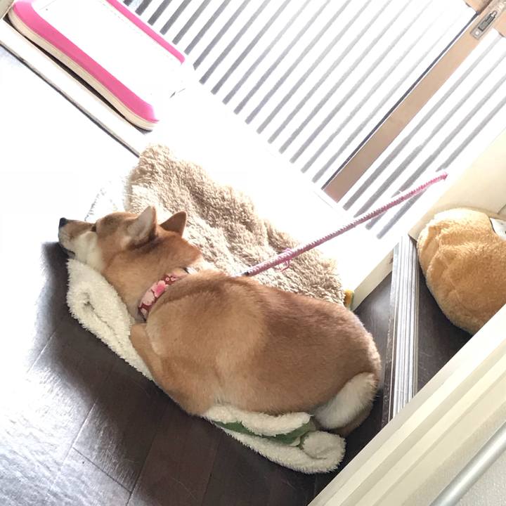 82d9e7c1 1d47 40e9 842e 899e658dc6b8 1520909182077