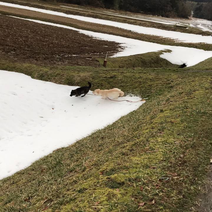 82d9f494 6d3a 4d21 bf47 aba4eade1784 1519430062938