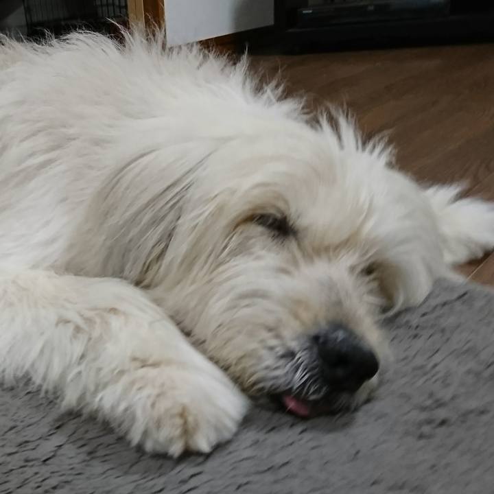 82da1a4e 9edb 4276 9fa3 076926f45cd2 1580722460771