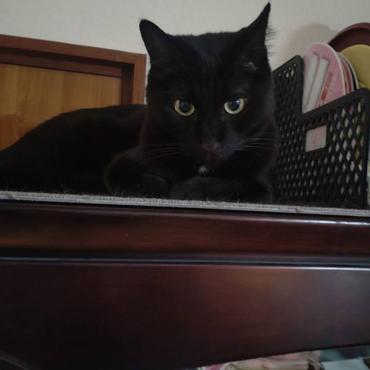 82da3621 2ff0 43bf 8d64 9f6274cf345d 1735870937541