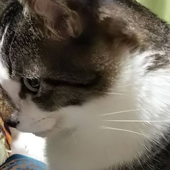 82da4d2d bc07 4b60 bf09 e5e0ff8e602b 1613291745378