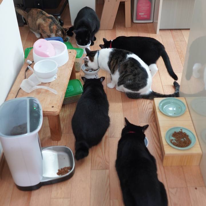 82da615a 2cd9 4781 8859 e9afacfef101 1593144560466