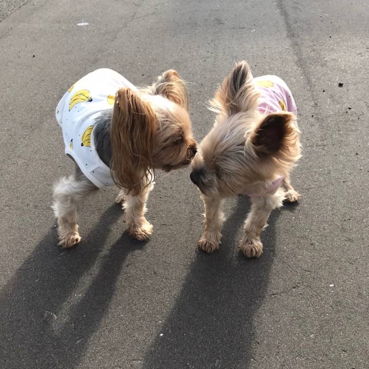 82da61fc 6daa 4063 a51c 7dc3a933e881 1600769795943