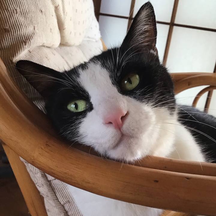 82da8452 14e3 418d b7e7 be620185b936 1751803981378