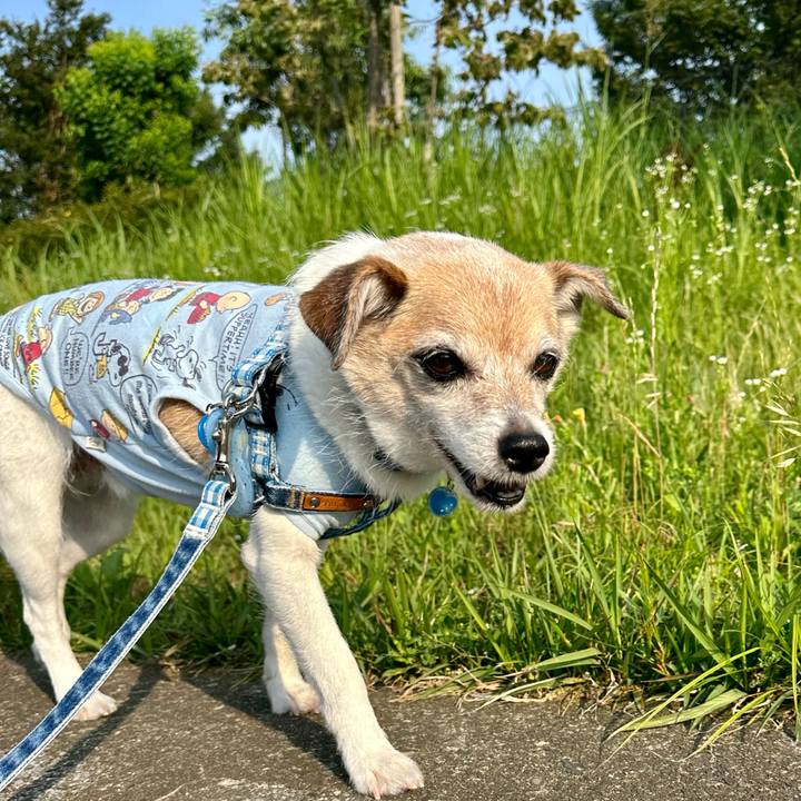 82dab14b 895a 4134 add8 3aeda24f6519 1687135511455