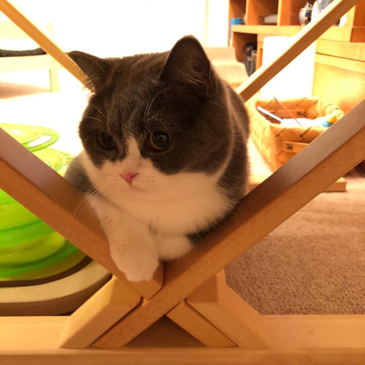 82dad408 82b9 4997 932d b5c0b550324c 1524842055529