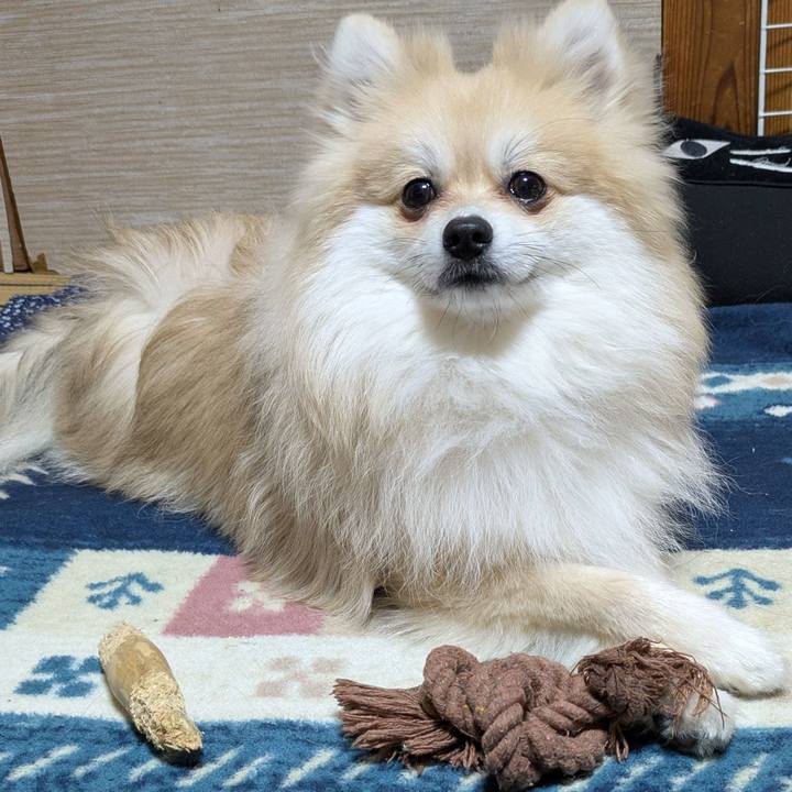 82dae16a 6c4c 4e2a b1c6 bae5238410c0 1768795505149