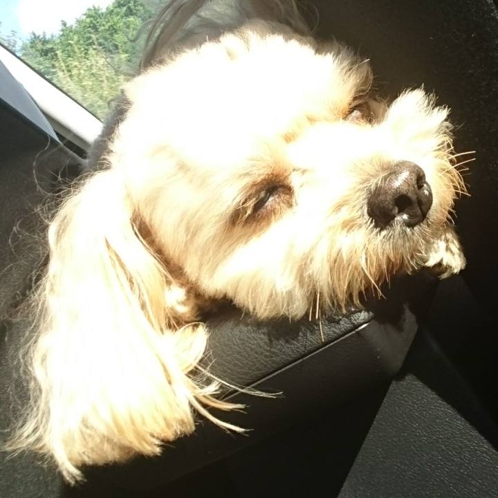 82daf3a3 57d0 4aef bdf2 d06205bfb0b8 1507537235784