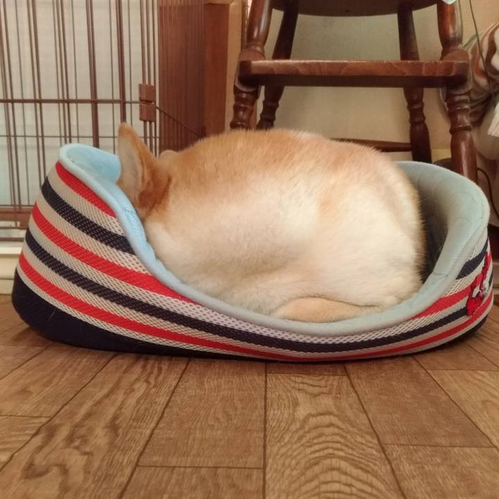 82db05e4 12e5 4262 95ef 700ebdd09174 1531973307948