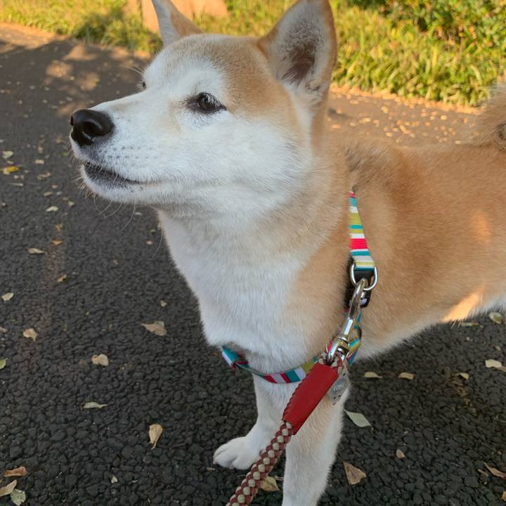 82db320f eecb 40f5 acb0 51edca4c0e31 1573368931990