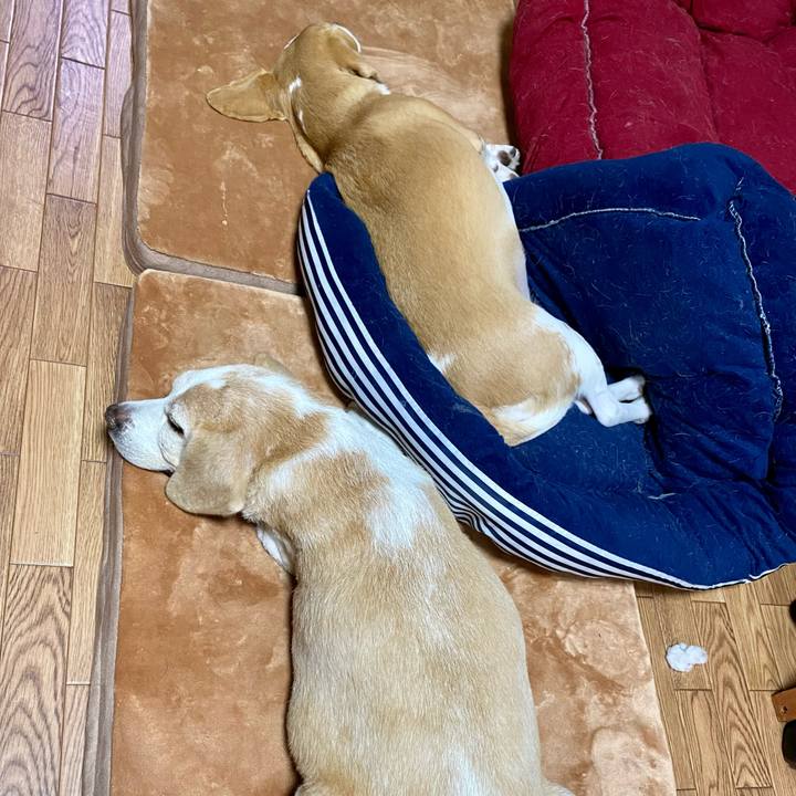 82dbcc01 4ce2 44fd b630 097517337283 1602586601189