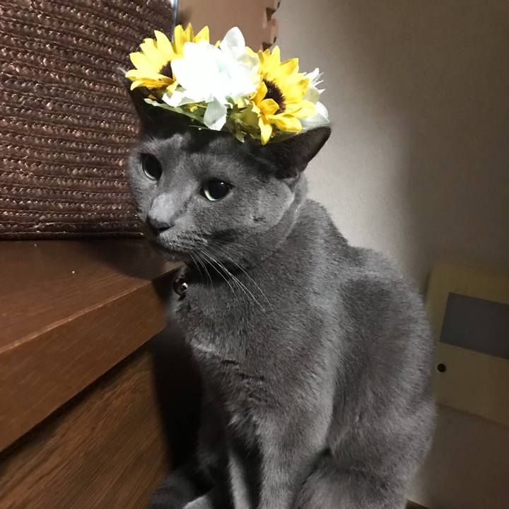 82dc47ce 0f1f 419b bdbe d6617e36e042 1566313443394