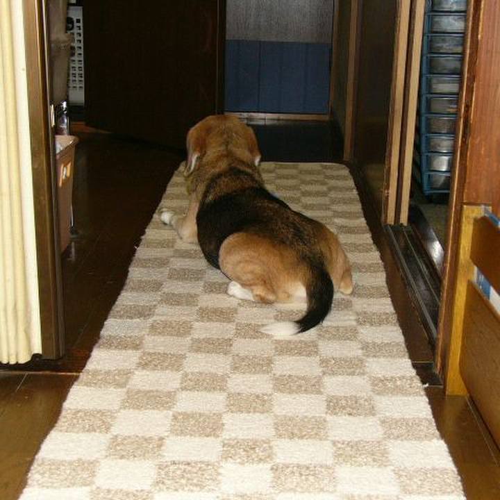 82dc5e84 f101 48d1 b958 de326bb1c0dd 1653785499638