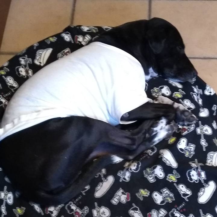 82dc75a2 865f 41b5 ac07 0f2b6056d211 1607127325004