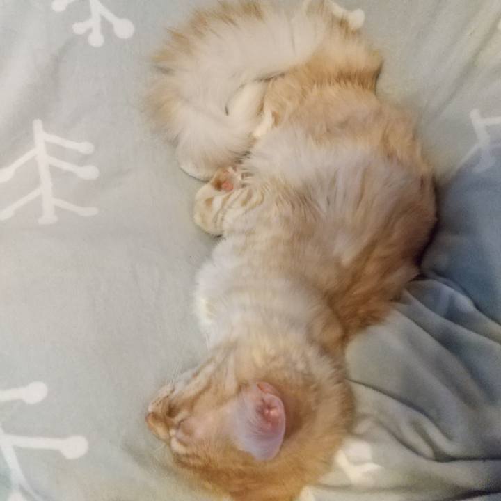 82dc7904 2cb0 4f7b 9a22 15f3244bed35 1616309795919