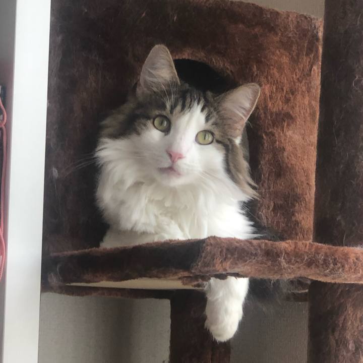 82dc7e39 1426 4884 af23 0e2b162386d3 1570611265540