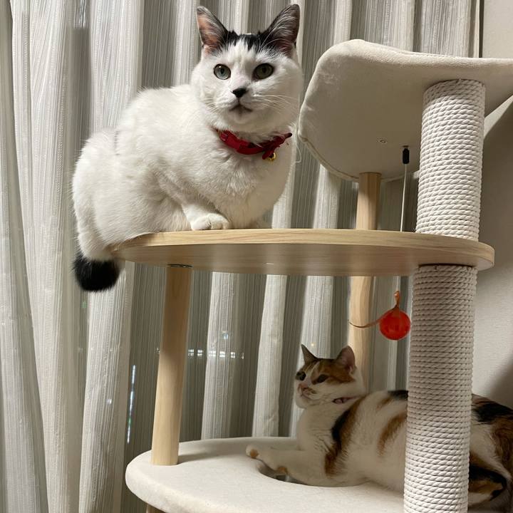 82dc971f c614 4830 9b39 1bf22c8f25aa 1613999455478