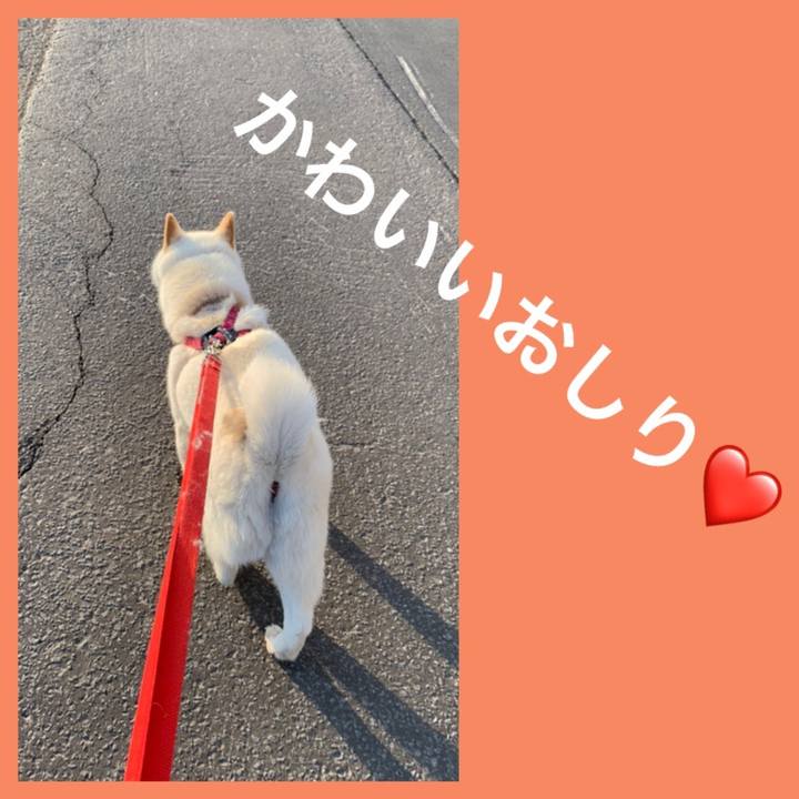 82dc97db 07d7 41a7 a0bc 5cc04fd34637 1556112095904