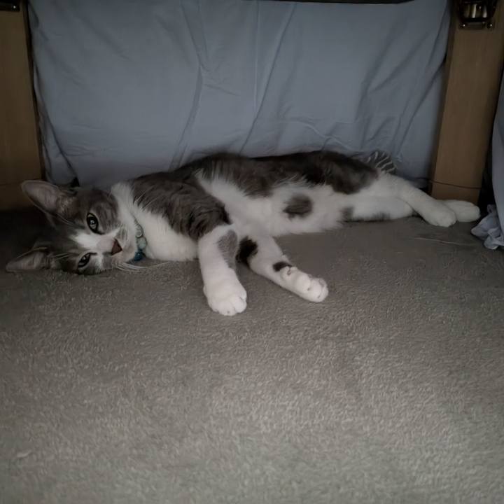 82dcad42 79e7 454e 8aec eb9e4b235e1a 1761450827914