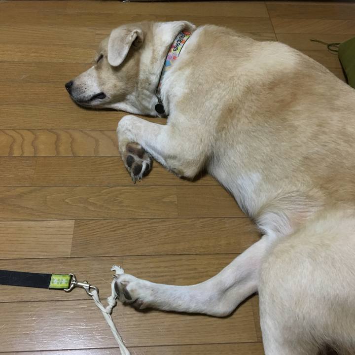 82dcf19d cd35 4189 b76e c4b0f37e353e 1538838088074