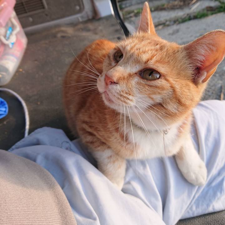 82dd4e5d 9400 43f2 a4b8 2d3b31e9e21e 1588453220802