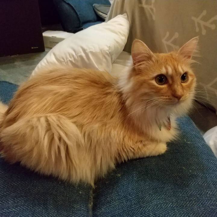 82dd4efa 8020 415a 9788 e40693e6141e 1648731149950