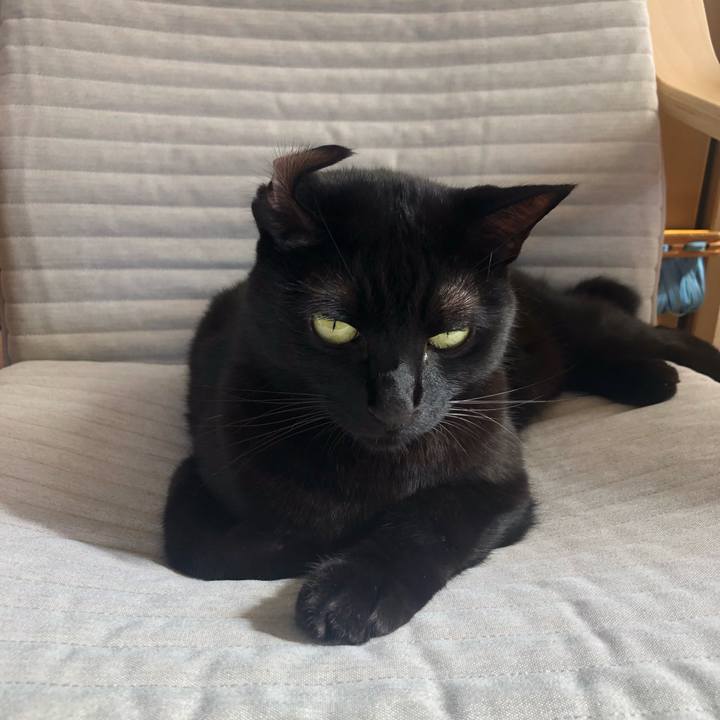 82dd586b eb43 4df8 ae30 63622a6a2b63 1634219680843