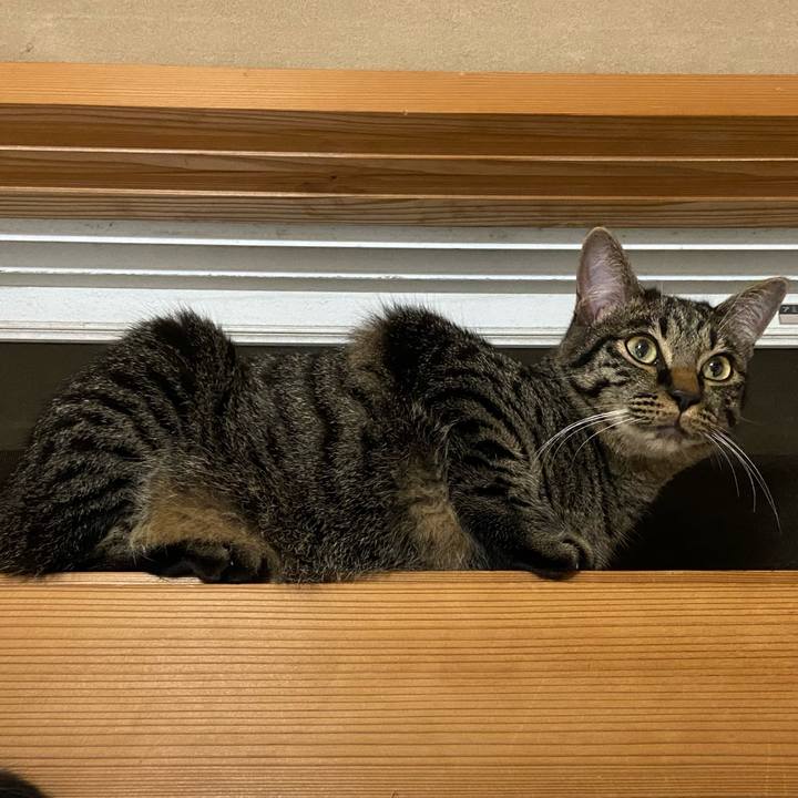 82dd9baa 093b 4a93 9f8b fe449772a7c1 1625312222234