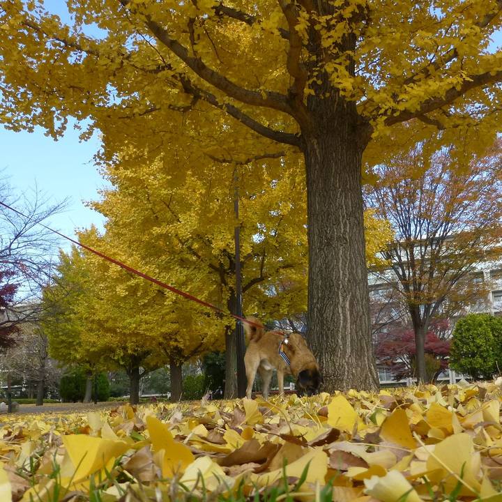 82dda1dc a704 4904 a620 ee2303a08091 1579267900534