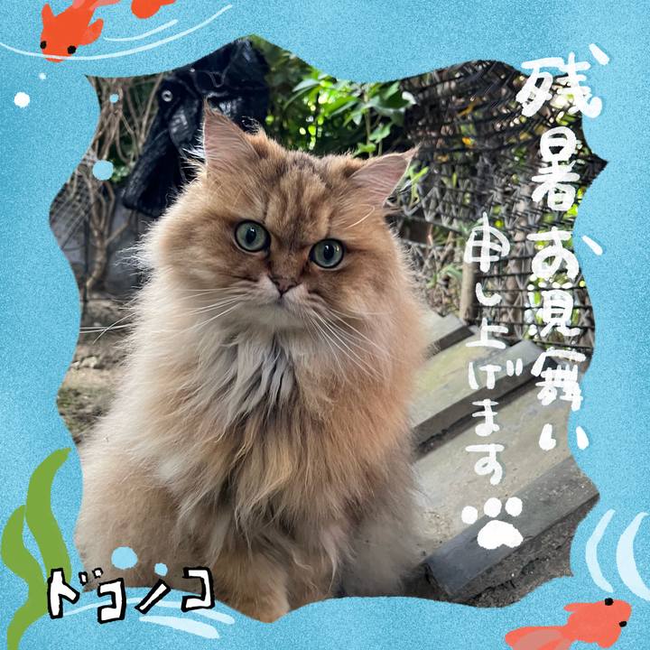 82dddf32 7c24 408b ae0b e0e84a237e76 1723679923676