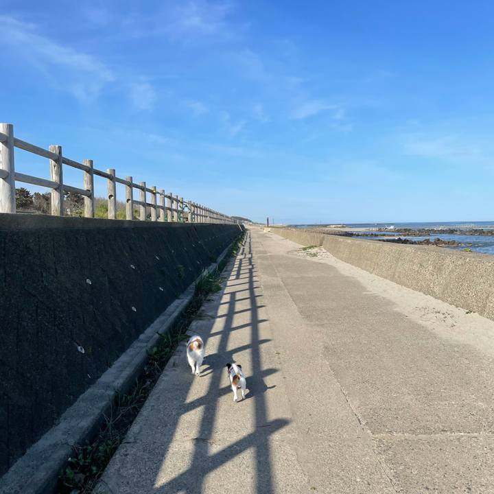 82ddf467 b966 4d63 8c10 57ddf27faedb 1620776076985