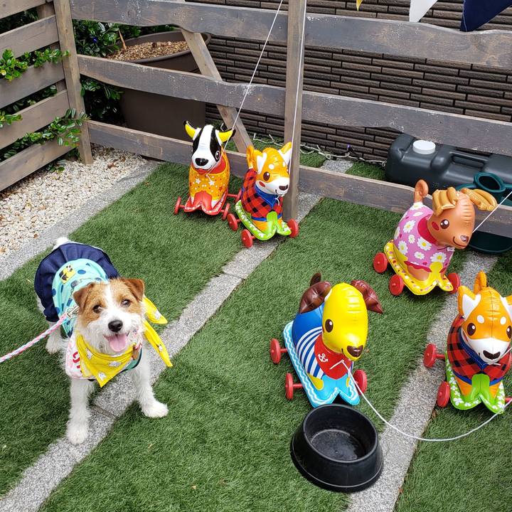 82ddf5b8 fb74 405c bab3 9ac9414e9a82 1559999124237