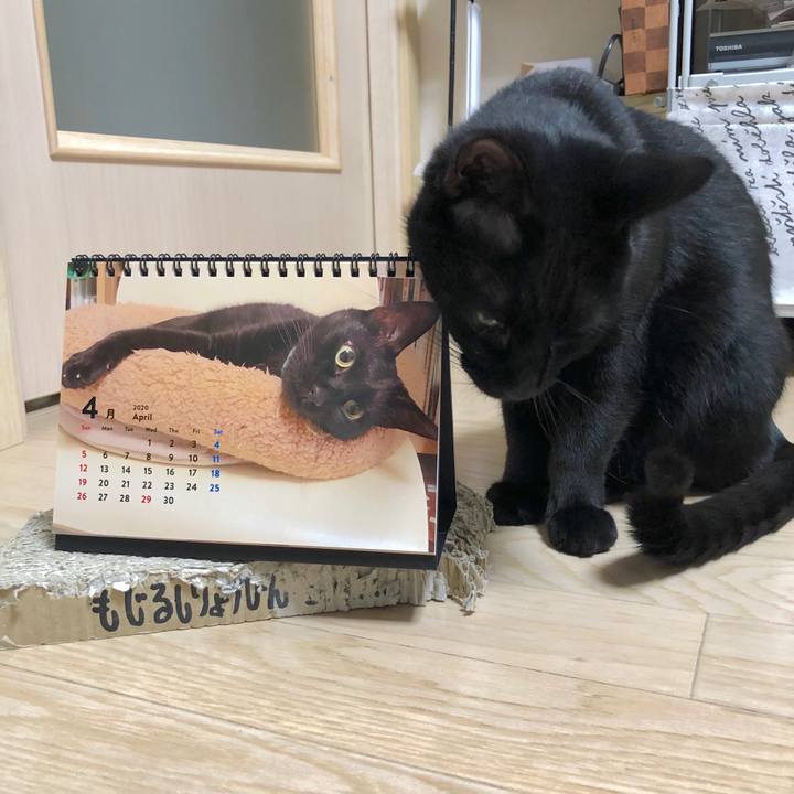 82de032b 3da3 4008 b18c ed98633d11ab 1585830902863