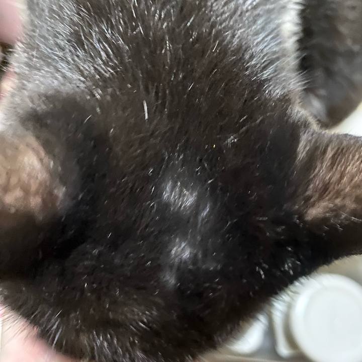 82de25d3 f5d1 43aa 8d6b cb988d2c3066 1724856871624