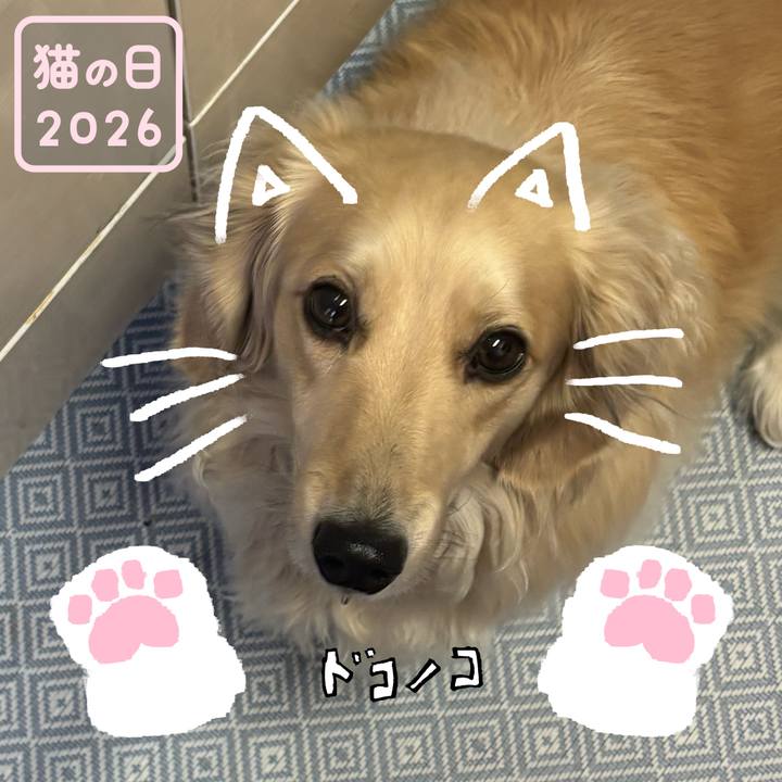 82de7121 22a0 485f b3fa a5c345a0ac0f 1771751510746