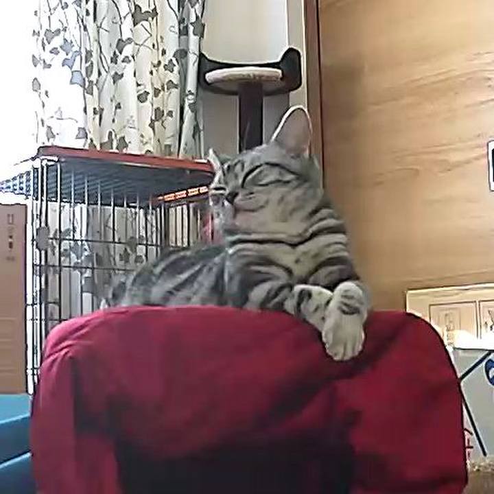 82de7816 4b70 451a 8b31 9b7b02bc9570 1554157634125