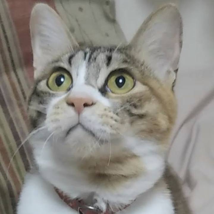 82deaa81 0eb1 4b26 ba4f e7d2c30044d5 1677310350201