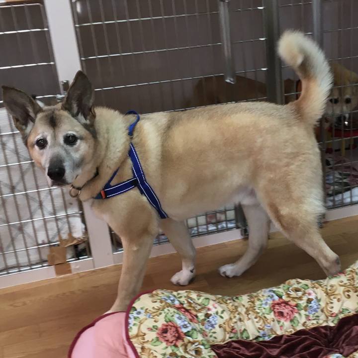 82decd00 d493 4849 b168 e545a2282319 1584142183878