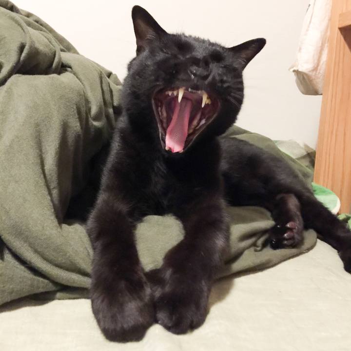 82ded4b8 ca03 4338 90e8 2568545d17ee 1561556581005